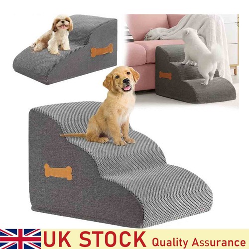Dog cat pet - cat, for