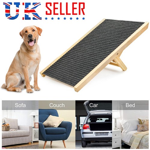 Adjustable heights dog - dog, pet