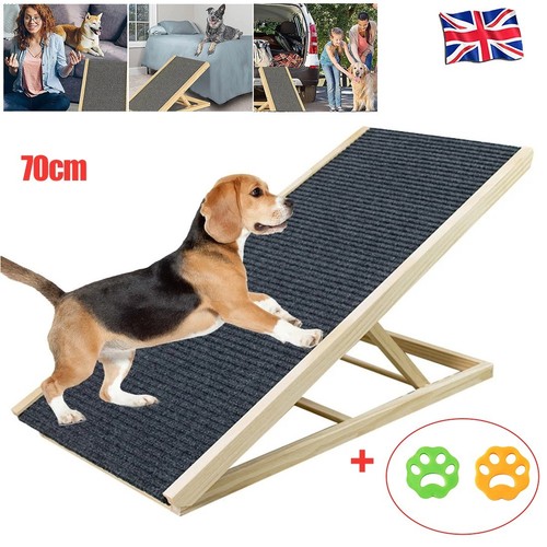Adjustable heights dog - adjustable,