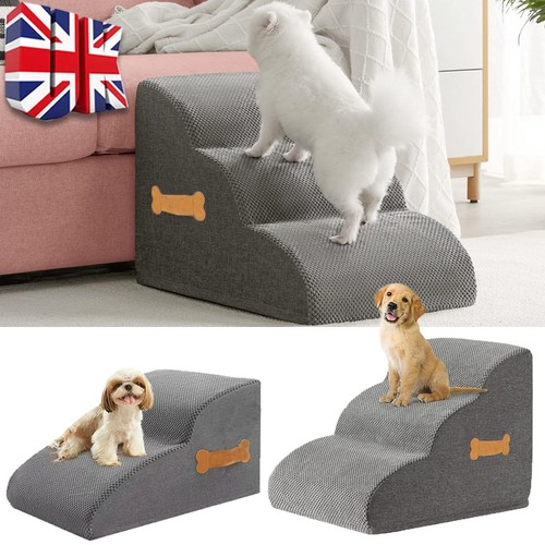 Dog cat pet - cat,