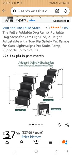 Dog ramp fellie foldable - ramp,