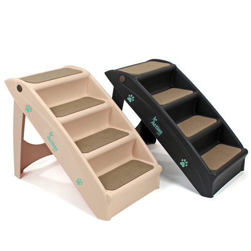 Puppy dog pet stairs - dog,