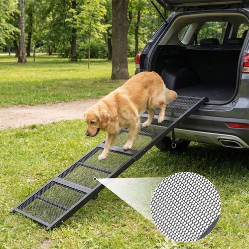 Dog ramp portable - portable, pet