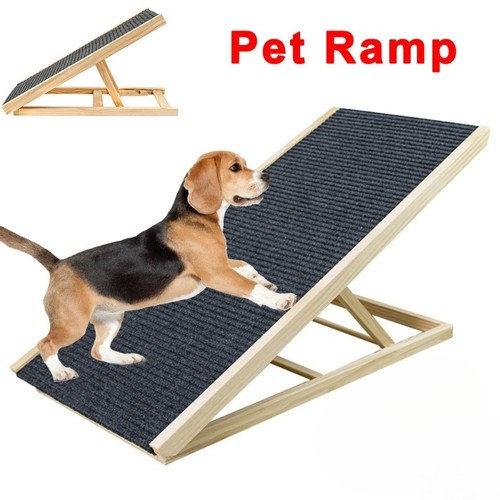 Adjustable heights dog - dog, pet