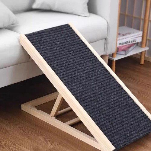 Pet cat dog - cat, stair