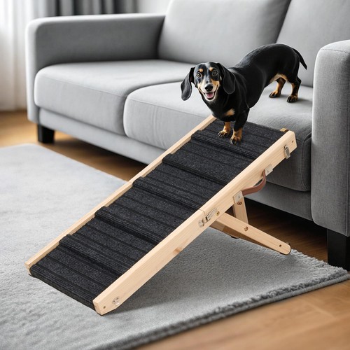 Foldable wooden dog ramp - dog,