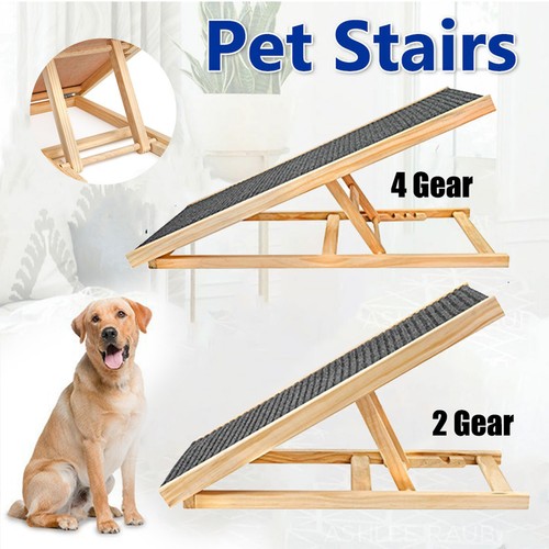 Folding dog cat ramp - dog,