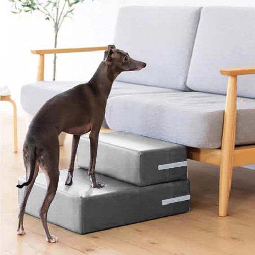 Dog stairs pet - dog, for