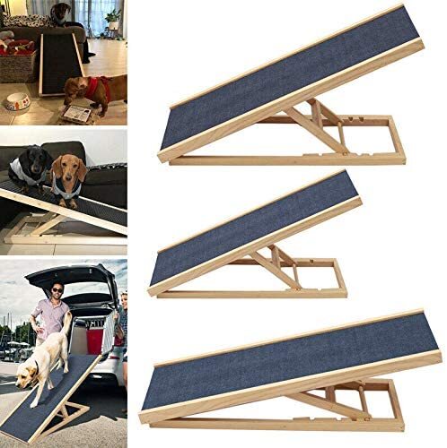 Adjustable height dog car - 4,