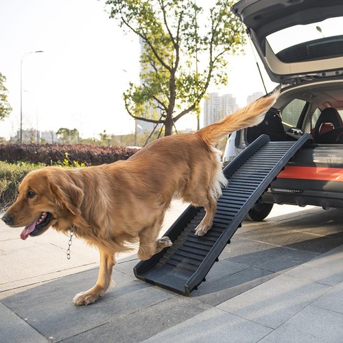 Large heavy duty pet - heavy,